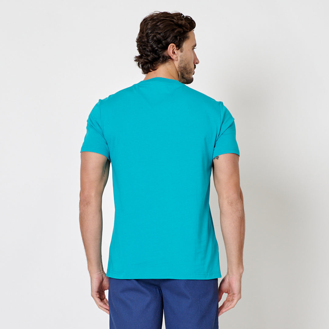 Verde Azulado 3