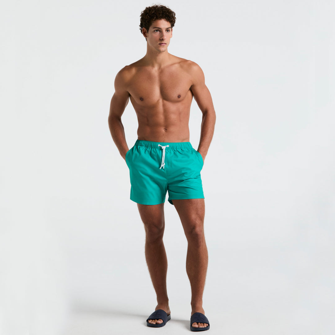 Verde 2