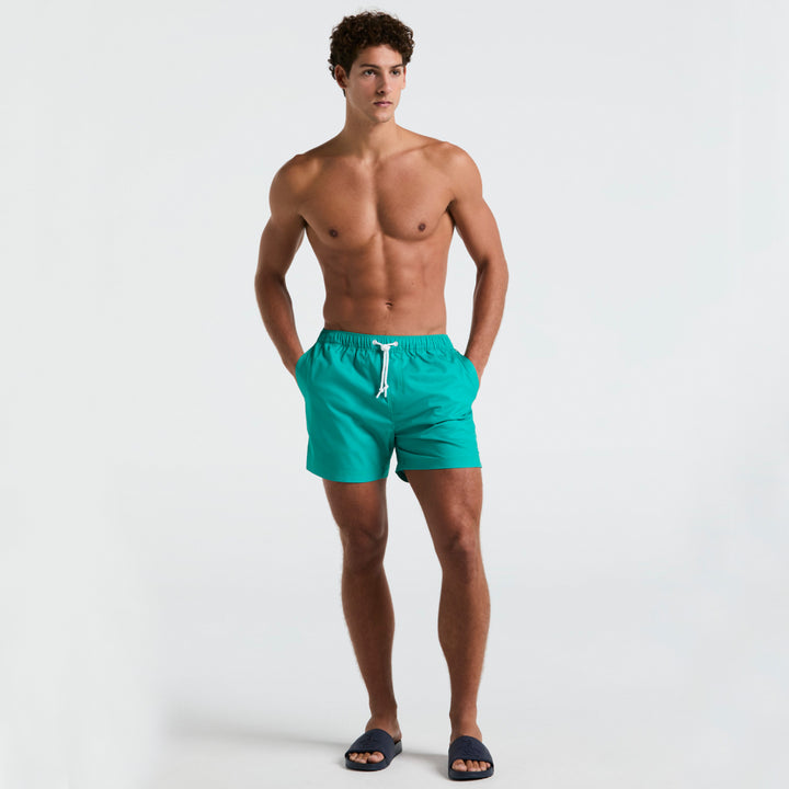 Verde 2