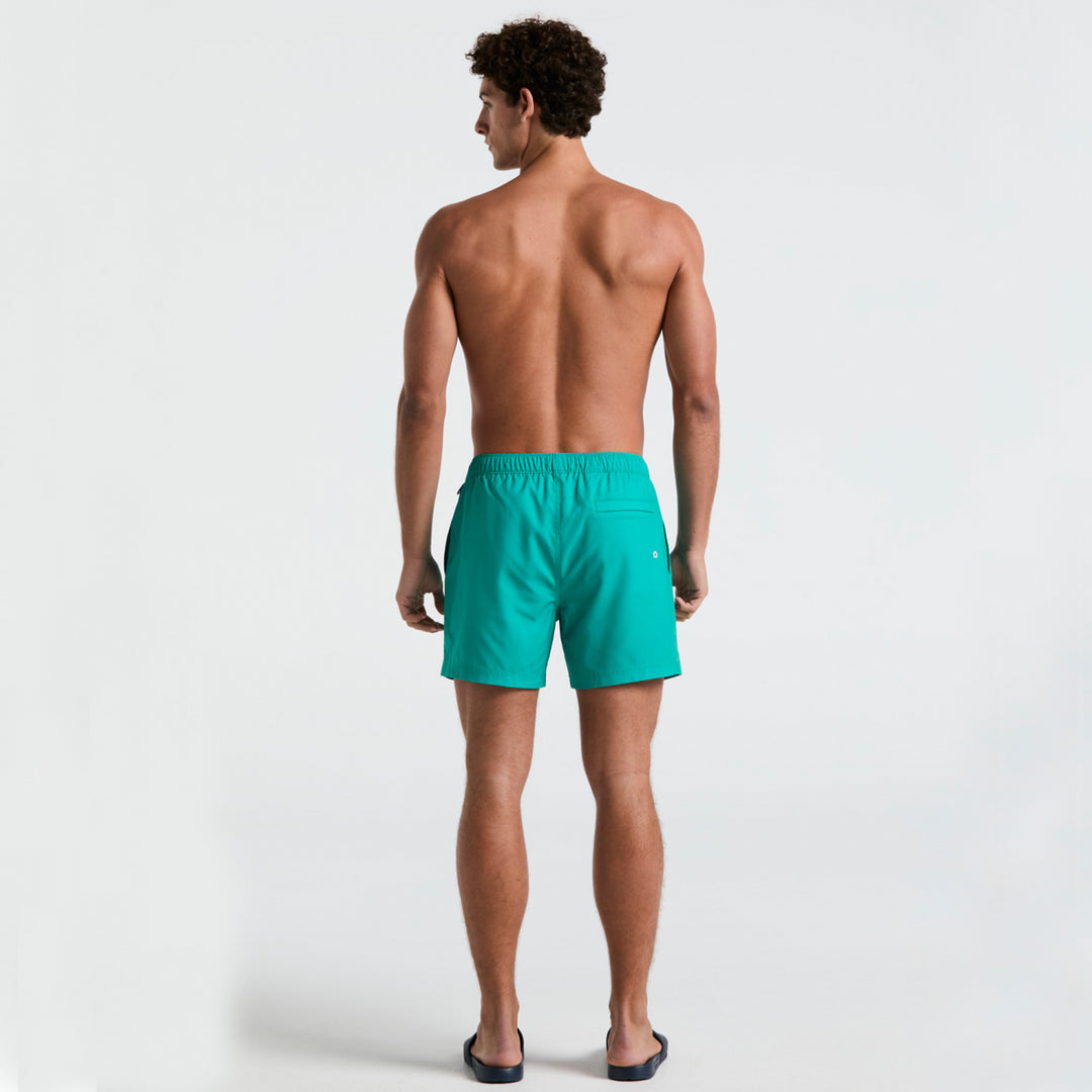 Verde 4