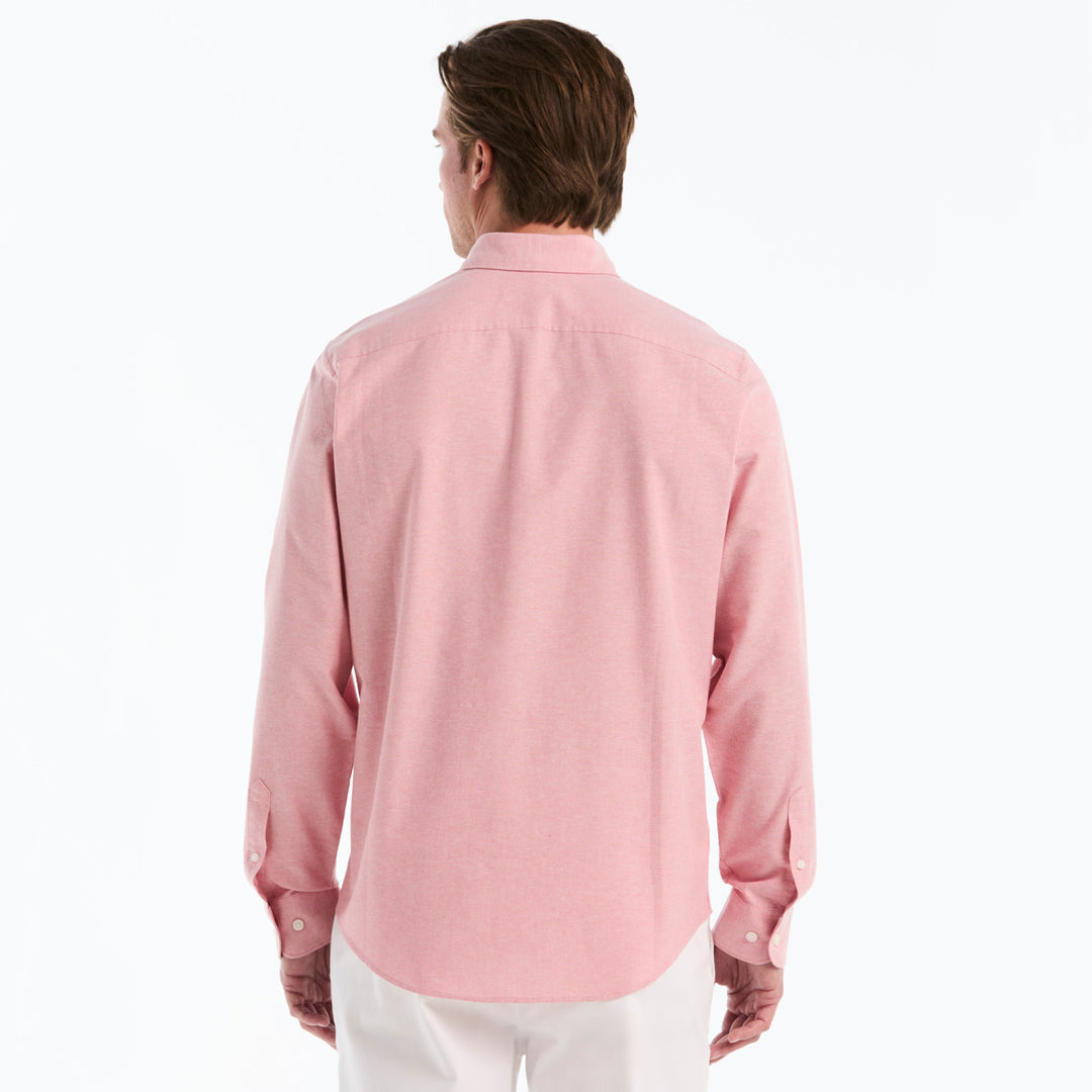 Rosa 3