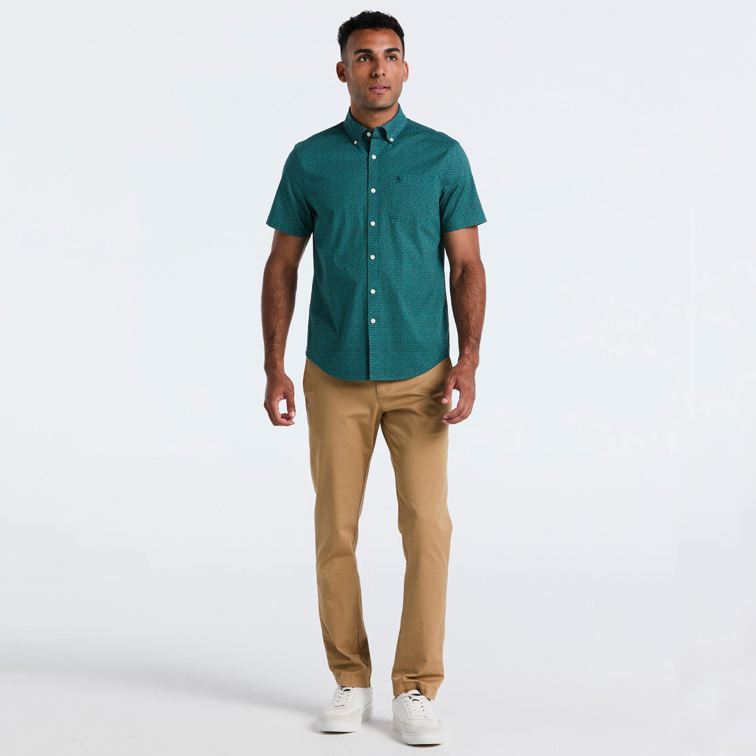 Verde 4
