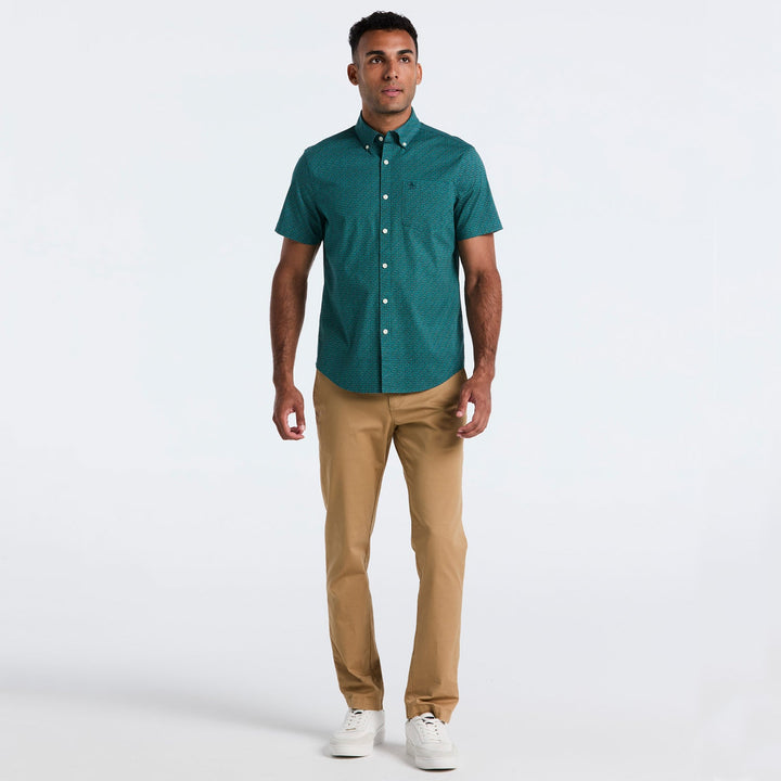 Verde 4