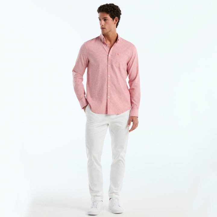 Rosa 4