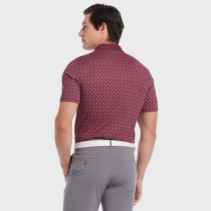 Vino 3