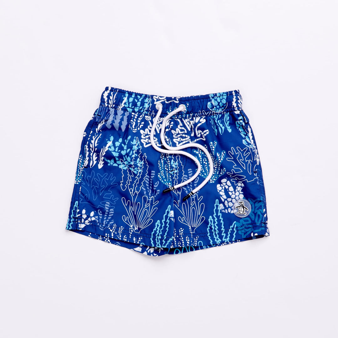 Azul 1