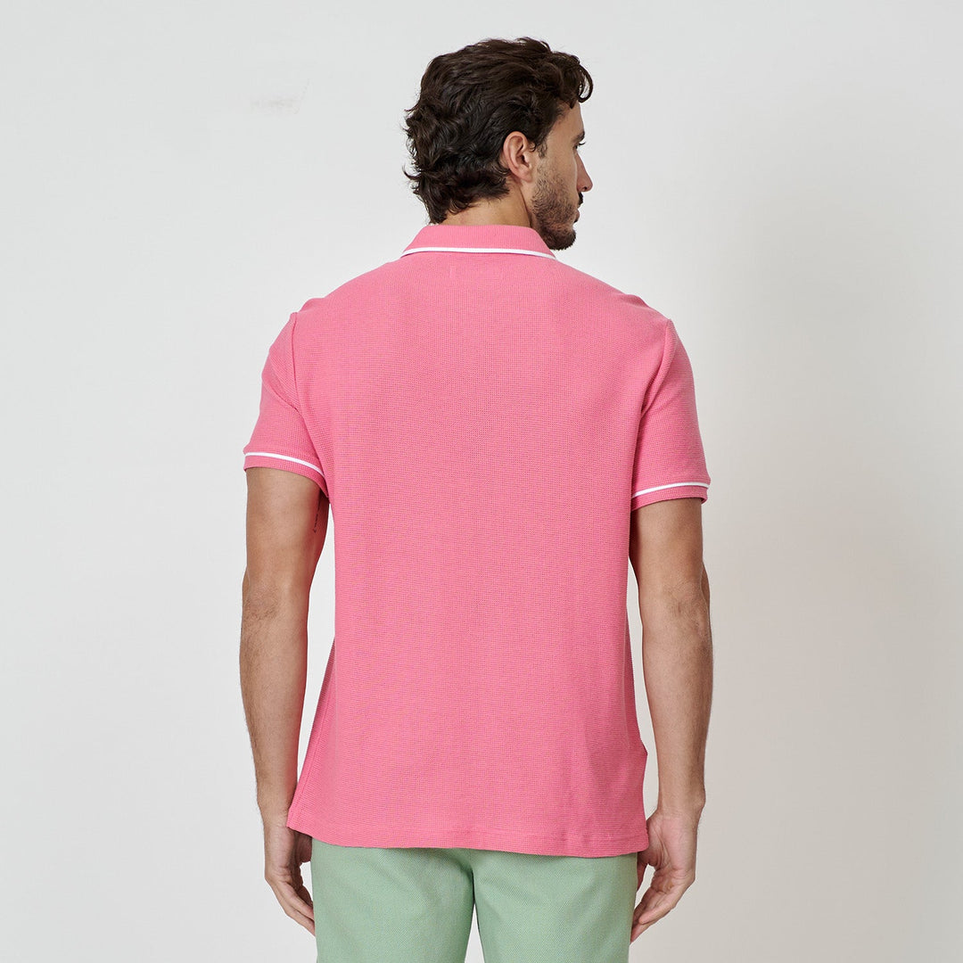 Rosa 3