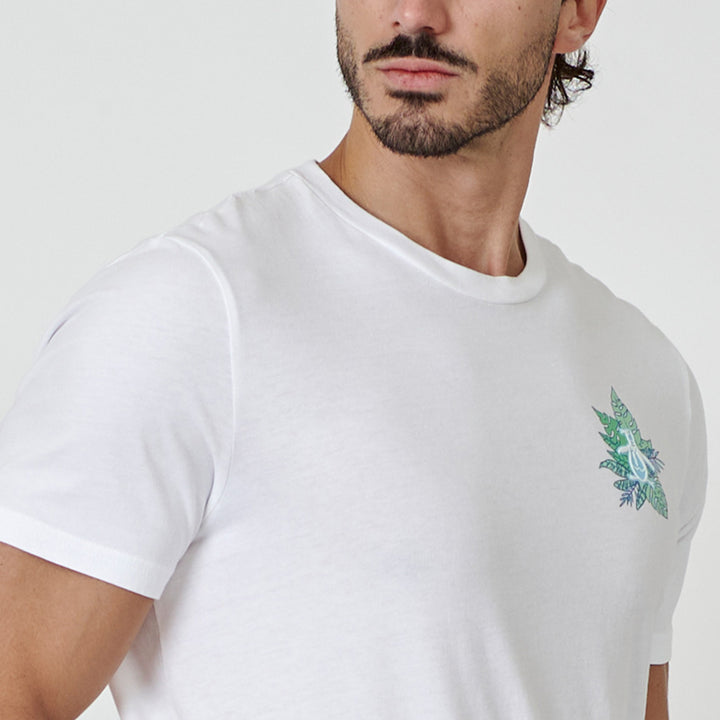 Blanco 2