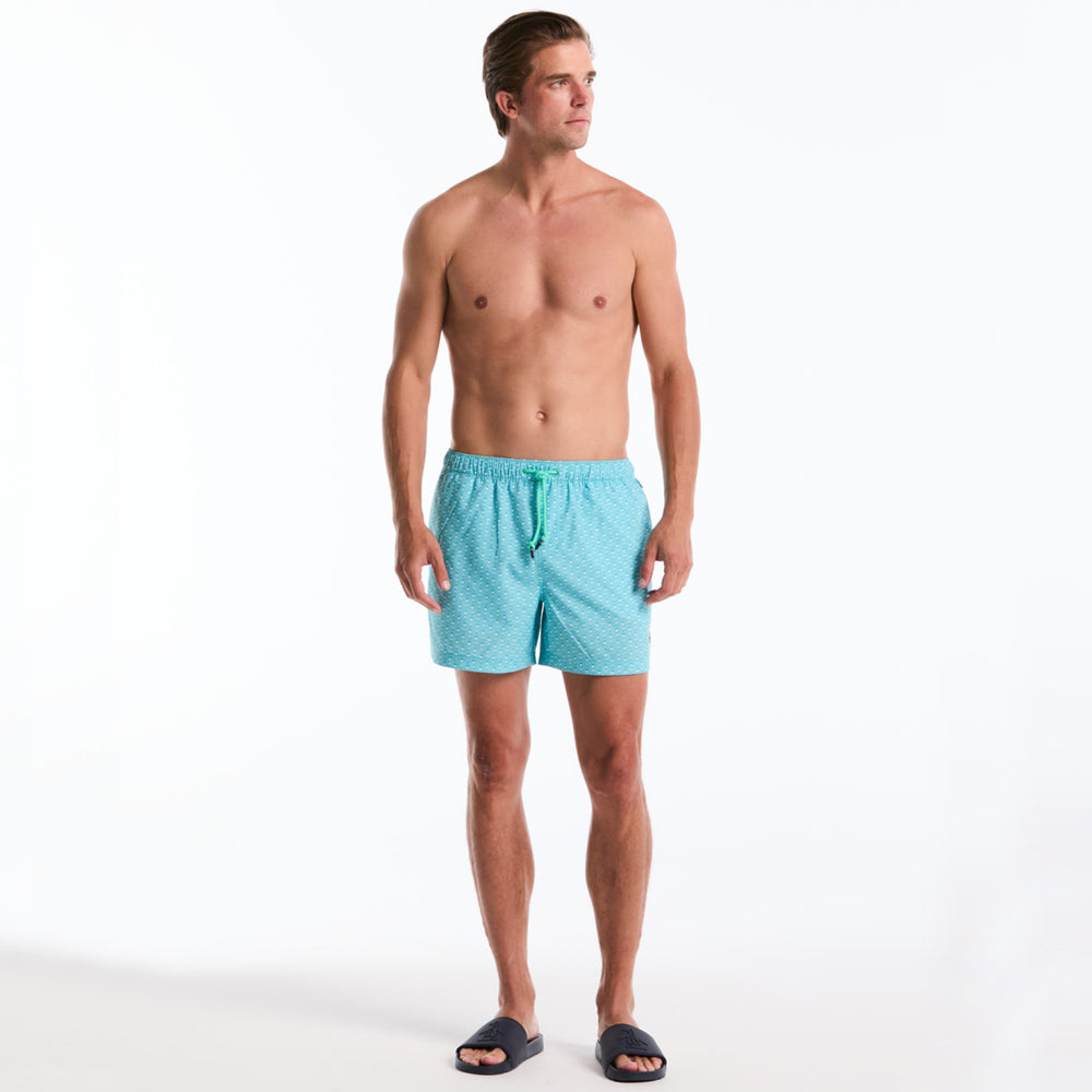 Verde Aqua 2