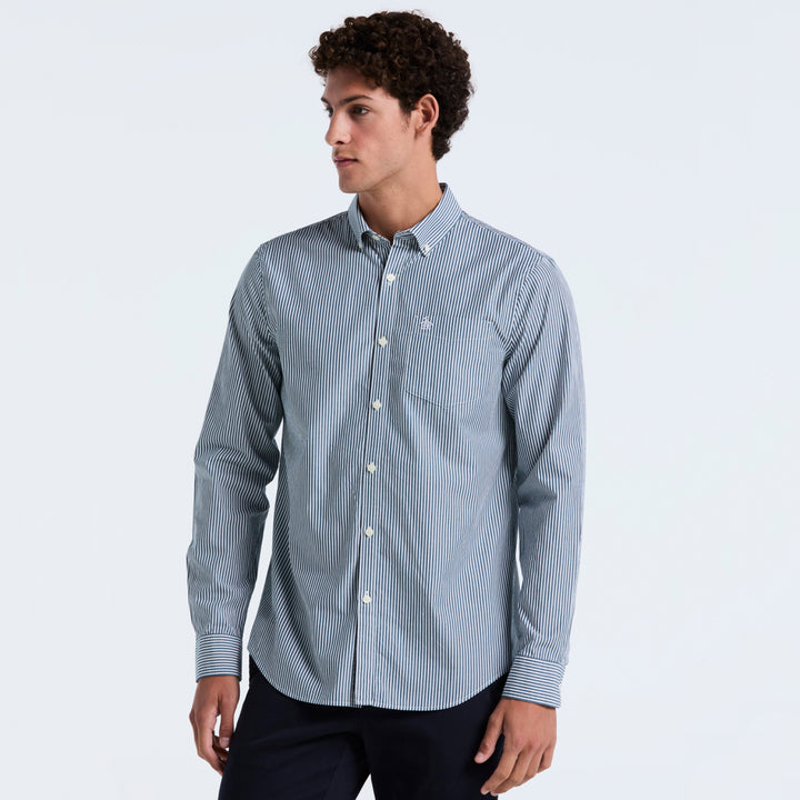 Verde 1